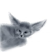 Zeichnung Bioseb Fennek